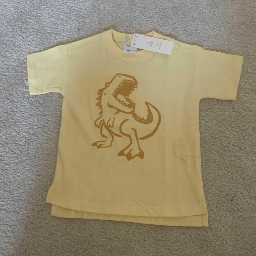 Dino t-shirt BNWT